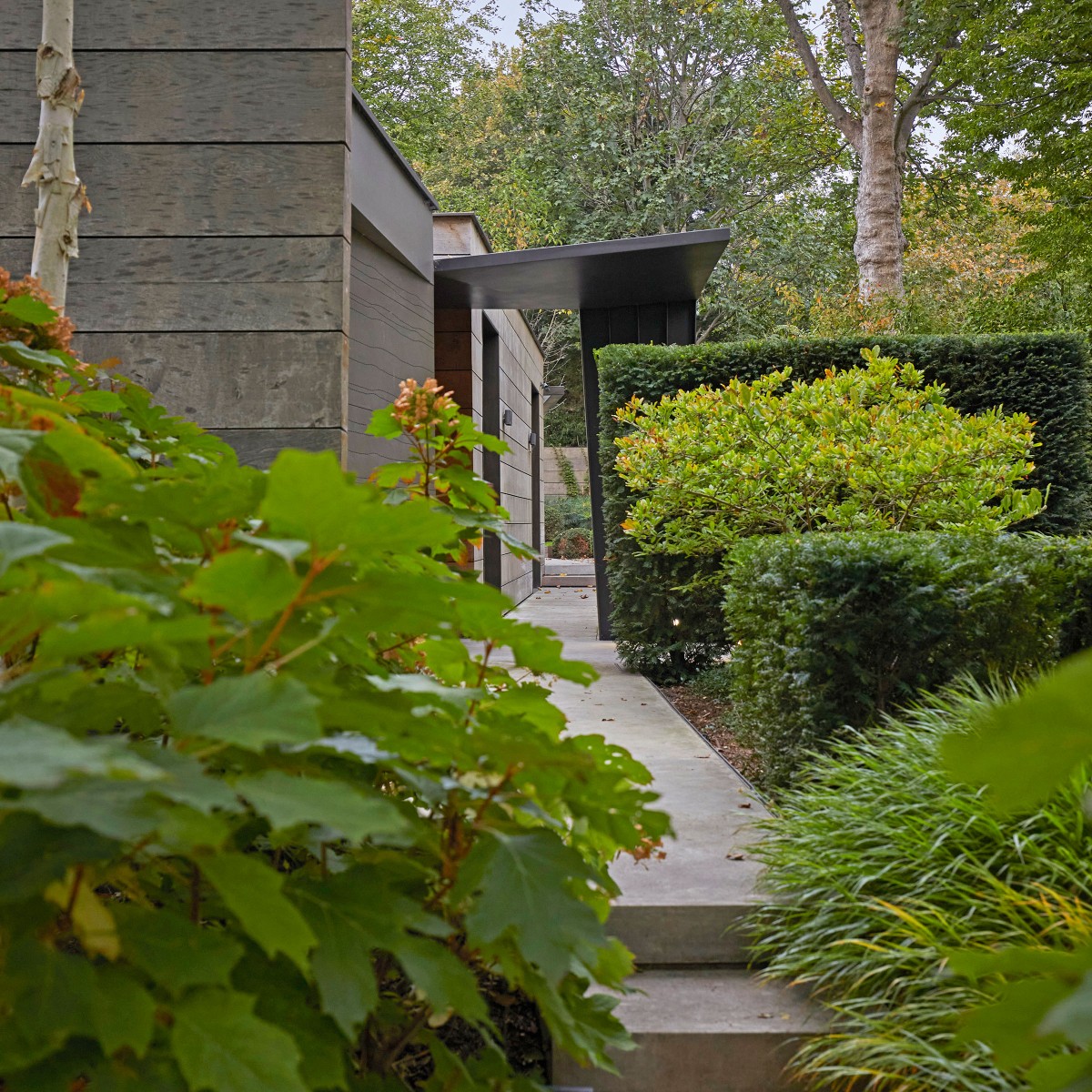 entrance from garden path